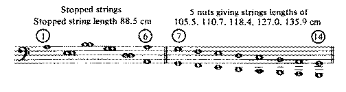 Double theorbo tuning